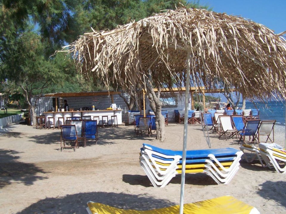 Strandbar TUI BLUE Oceanis Beach and Spa Resort