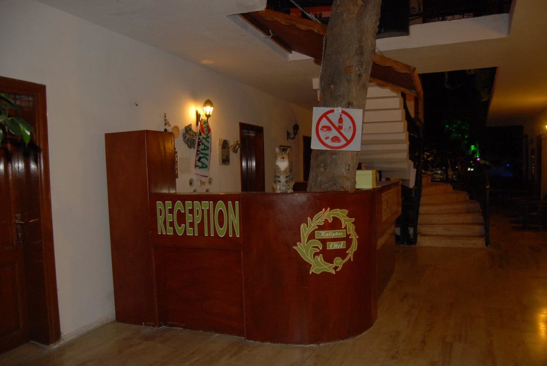 Reception Kaliptus Hotel