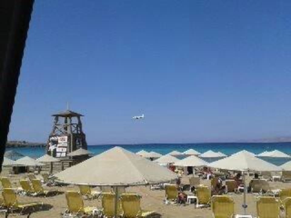 Fast zum Greifen Hotel Prince of Lillies