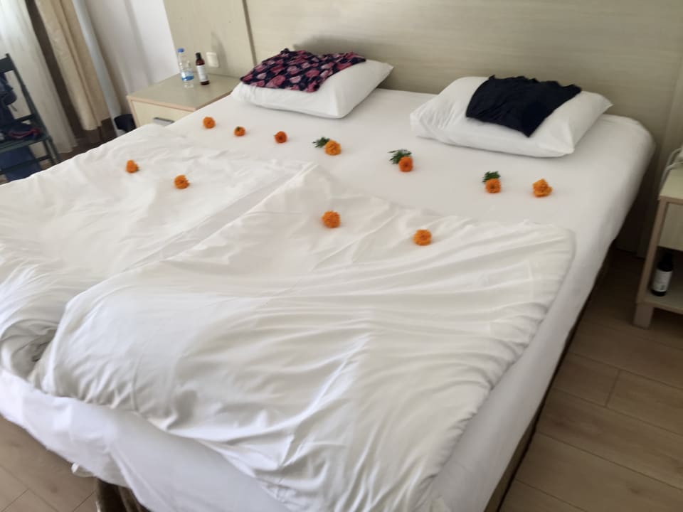 Zimmer Süral Saray Hotel