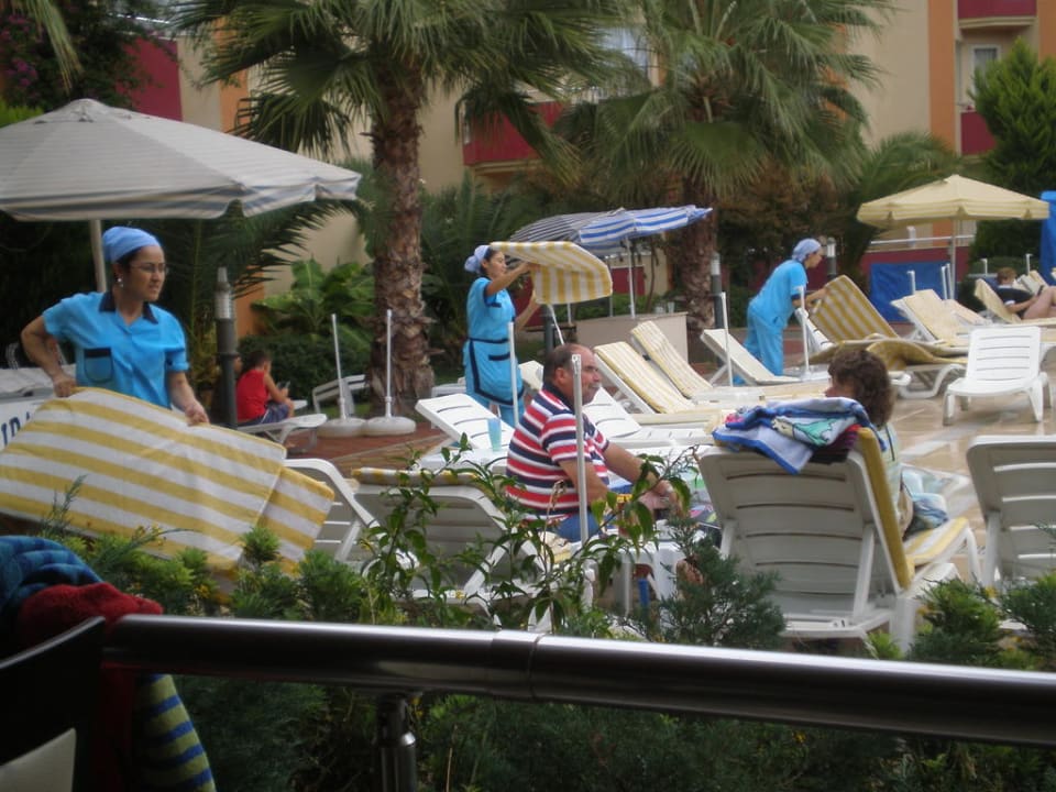 Wirklich fleißig Hotel Orfeus Park