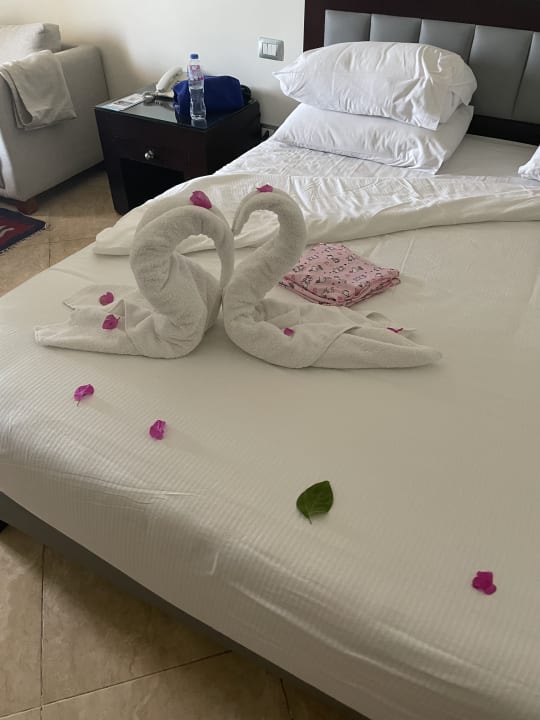 Zimmer Fort Arabesque Resort, Spa & Villas