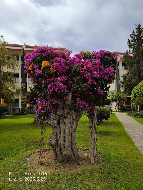 Außenansicht VONRESORT Golden Beach