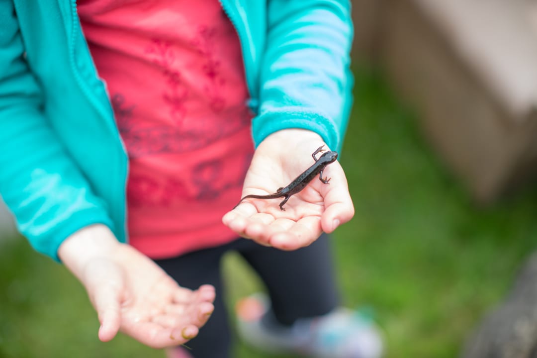 Sonstiges Bussjägerhof