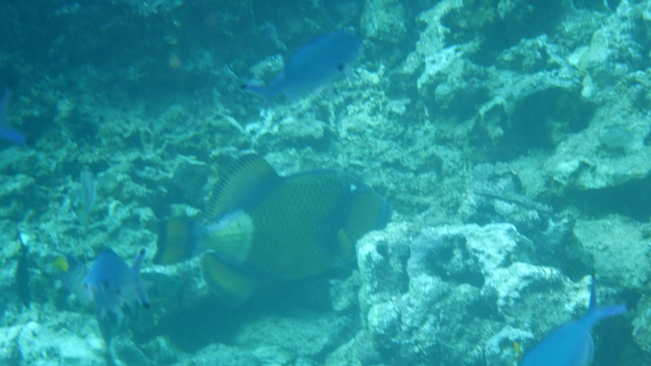 Sonstiges Casa Mare Resort