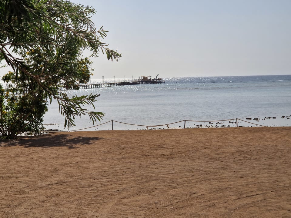 Strand TUI MAGIC LIFE Kalawy