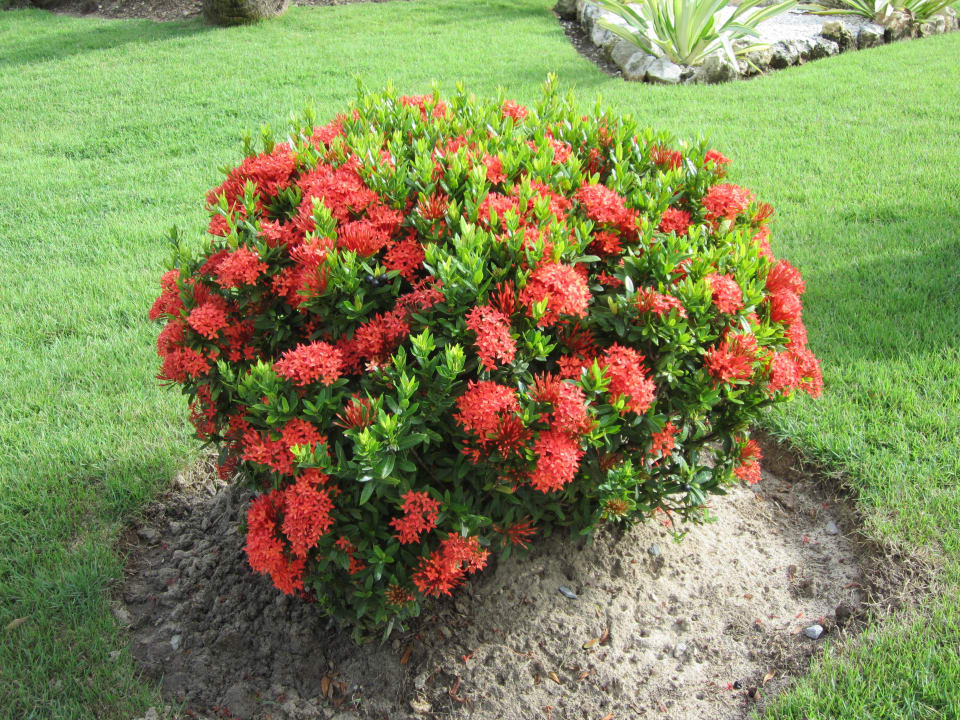 Wunderschöne Gartenanlage Grand Palladium Select Bávaro Resort & Spa