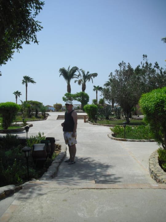 Weg zum Strand Eagles Paradise Abu Soma