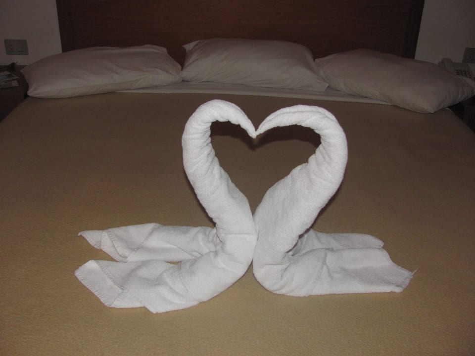 Handtuchkunst Schwäne Le Jardin Aqua Park Resort