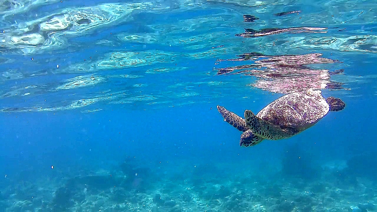 Sport & Freizeit Adaaran Select Hudhuran Fushi - Premium All Inclusive