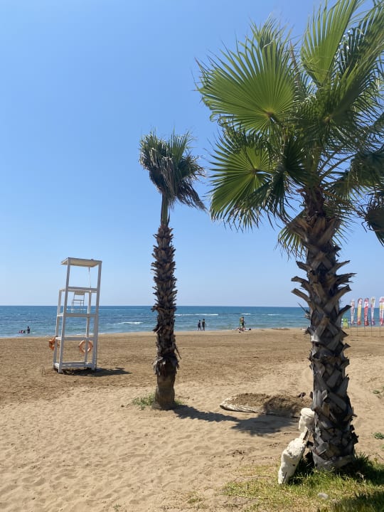 Strand Hotel Süral Resort