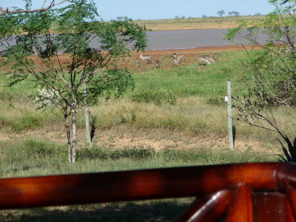 Blick vom offenen Restaurant Ashnil Aruba Lodge