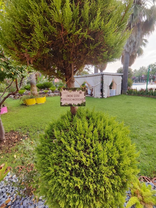 Gartenanlage VONRESORT Golden Beach