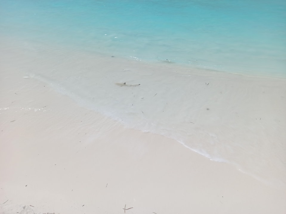Strand Thulhagiri Island Resort