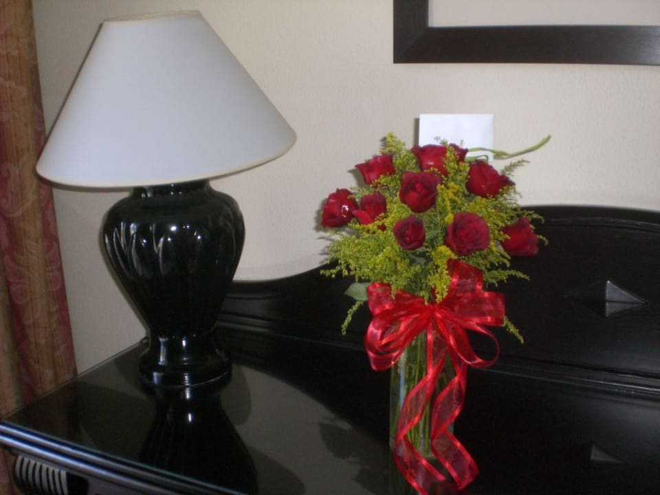 Morgengruß Hotel Riu Palace Punta Cana