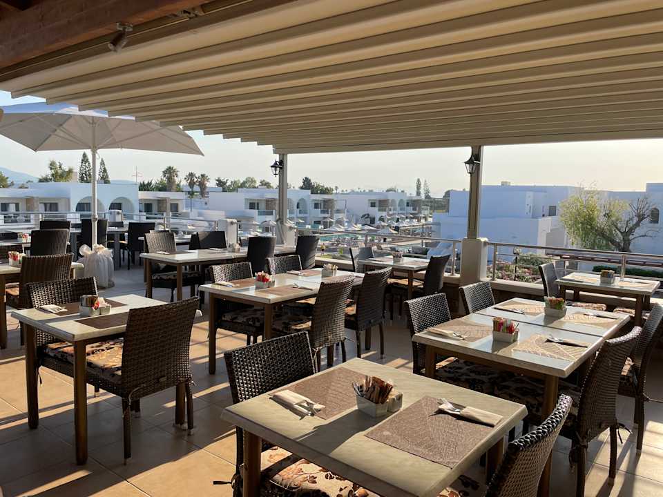 Gastro Palladium Hotel