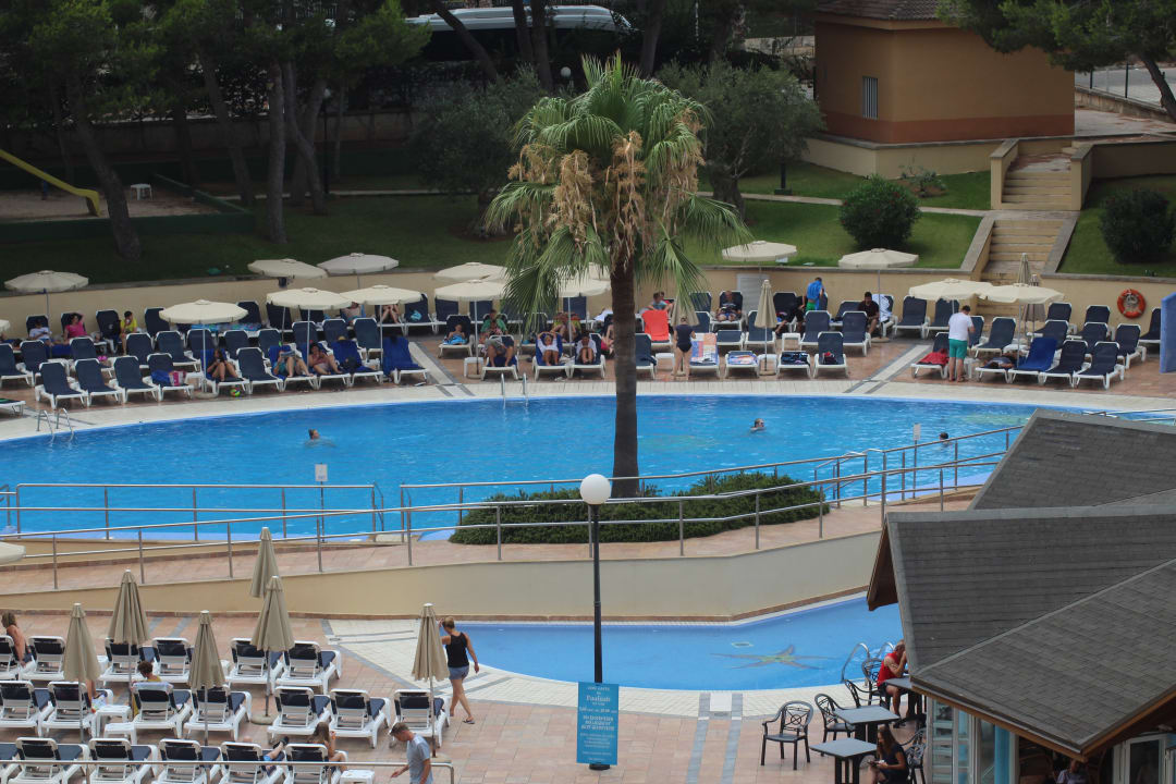 Pool Aparthotel Can Picafort Palace