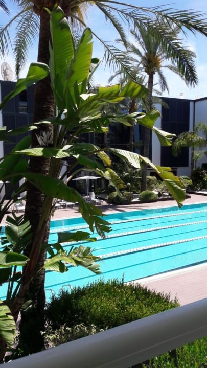 Pool Las Gaviotas Suites Hotel