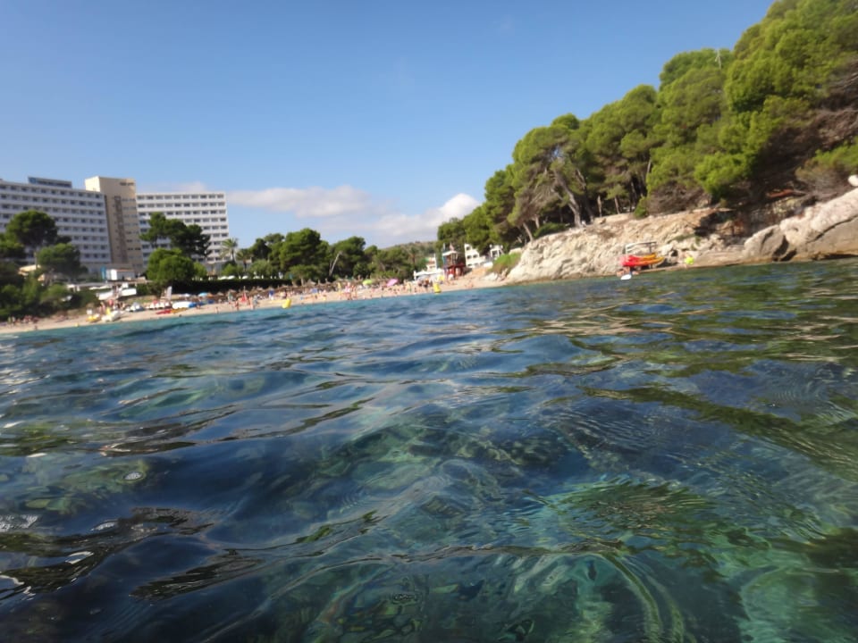 Vom Wasser auf den Strand Iberostar Waves Pinos Park