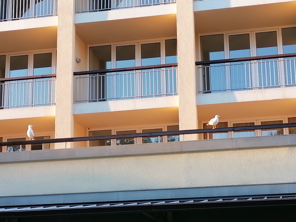 Außenansicht Hotel Mena Palace