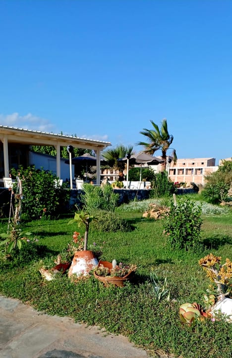 Gartenanlage Hotel Kathrin Beach