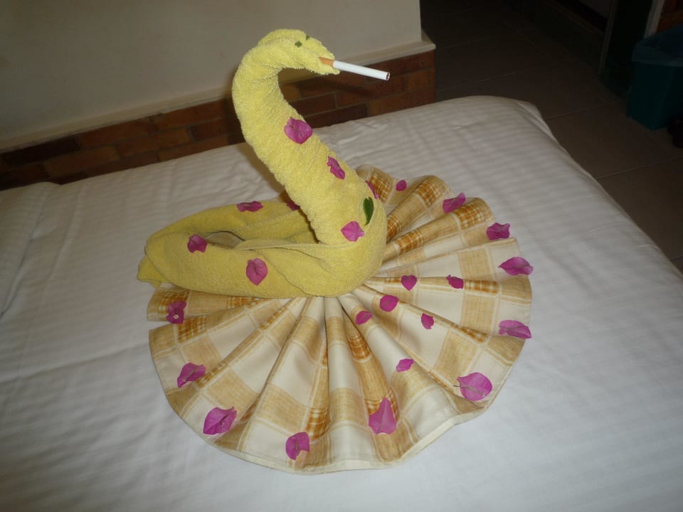 SCHWAN MIT ZIGARETTE Giftun Azur Resort