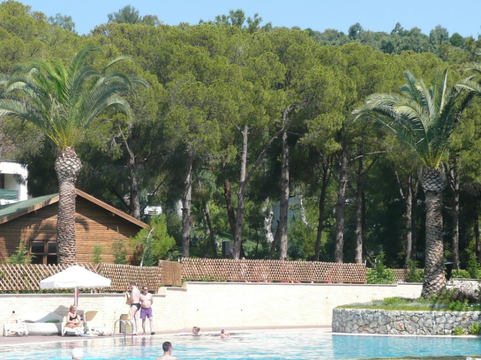 Blick vom Pool zur Fitnessläche Paloma Pasha