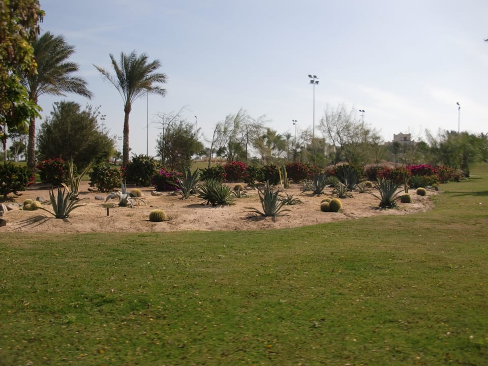 Weg zum Strand Steigenberger Aqua Magic