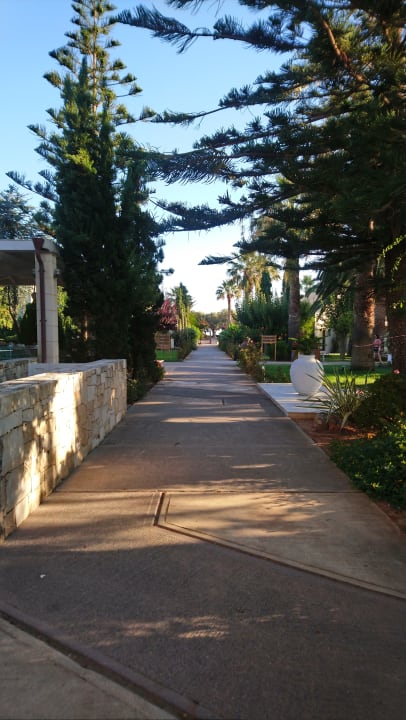 Sonstiges Phãea Cretan Malia