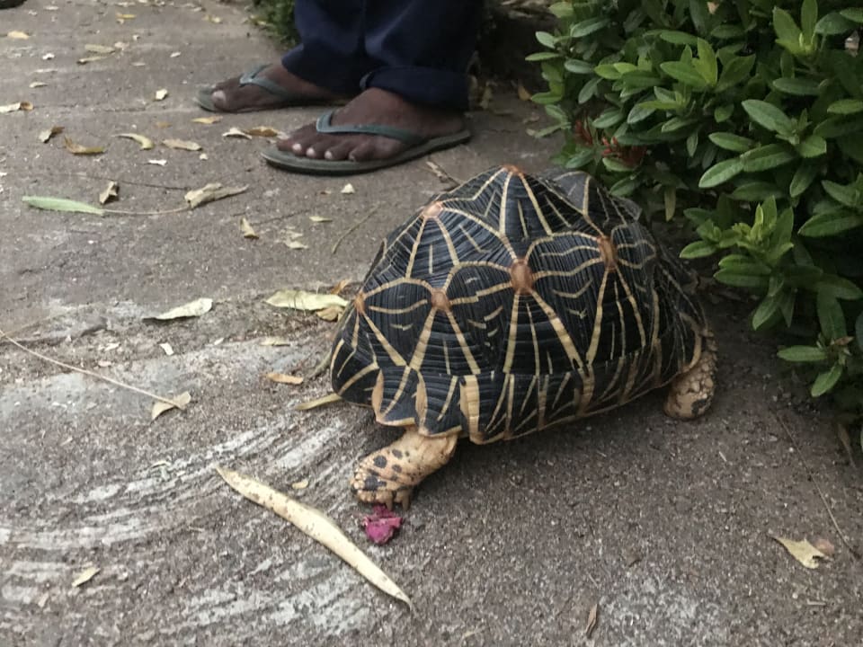 Gartenanlage Club Palm Bay