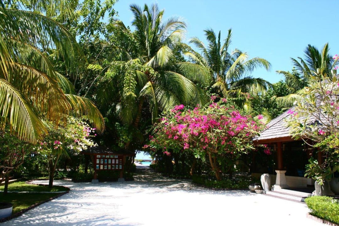 Rezeption  Sun Siyam Olhuveli