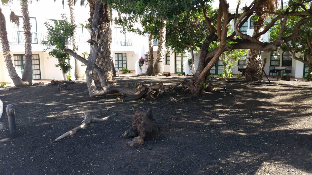 Gepflegt H10 Ocean Suites