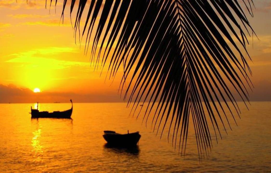 Zachód słońca  Guesthouse Dacha Maldives