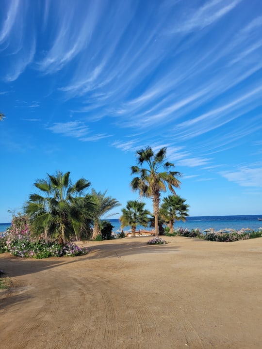 Gartenanlage Three Corners Fayrouz Plaza Beach Resort