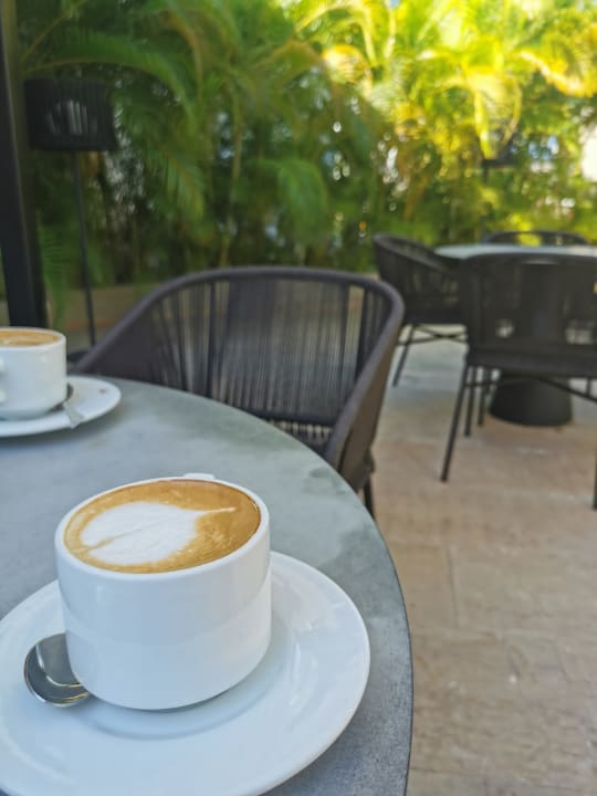 Gastro Grand Palladium Punta Cana Resort & Spa