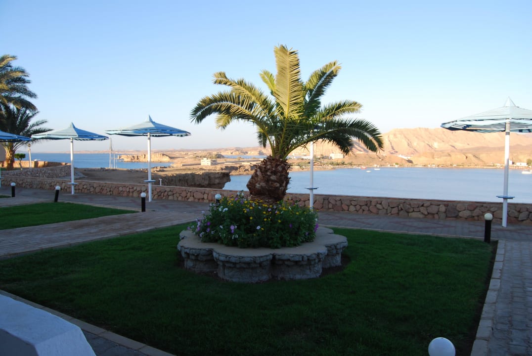Ausblick vom Chalet 6006 Albatros Sharm Resort
