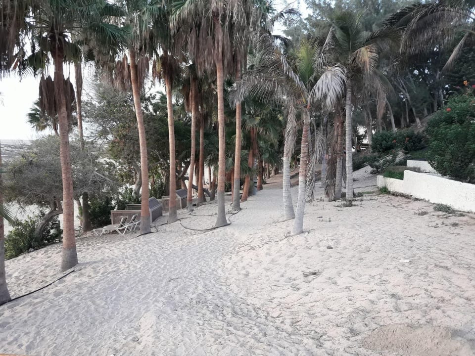 Gartenanlage Paradisus by Meliá Fuerteventura