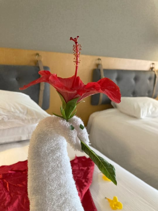 Zimmer Steigenberger Golf Resort El Gouna