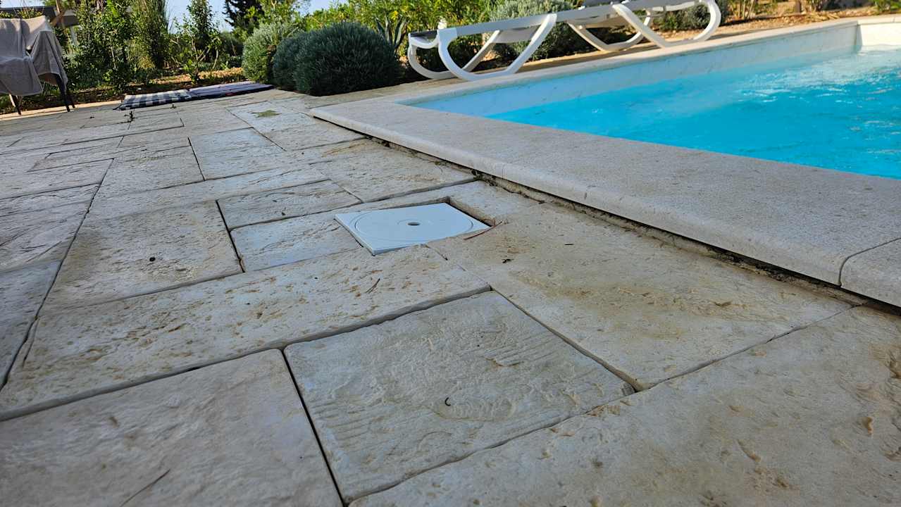 Pool Terra Park Phalaris