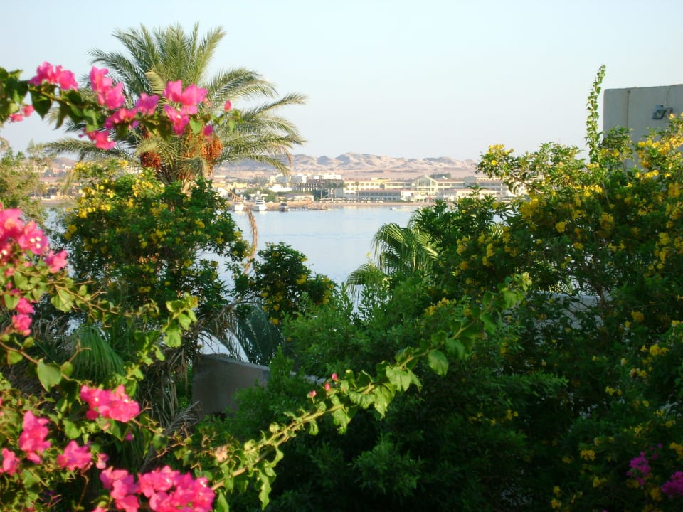 Krása Prima Life Makadi Resort