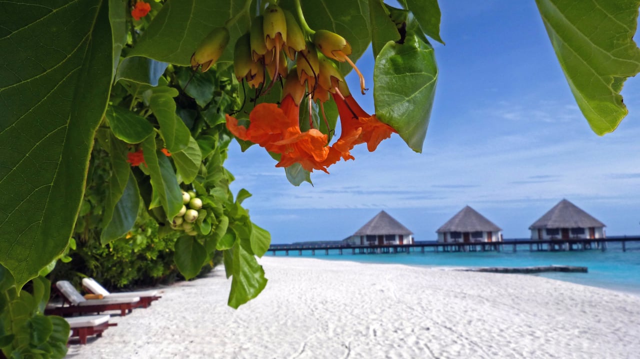 Bei den Wasserbungis Adaaran Select Meedhupparu Island Resort - Premium All Inclusive