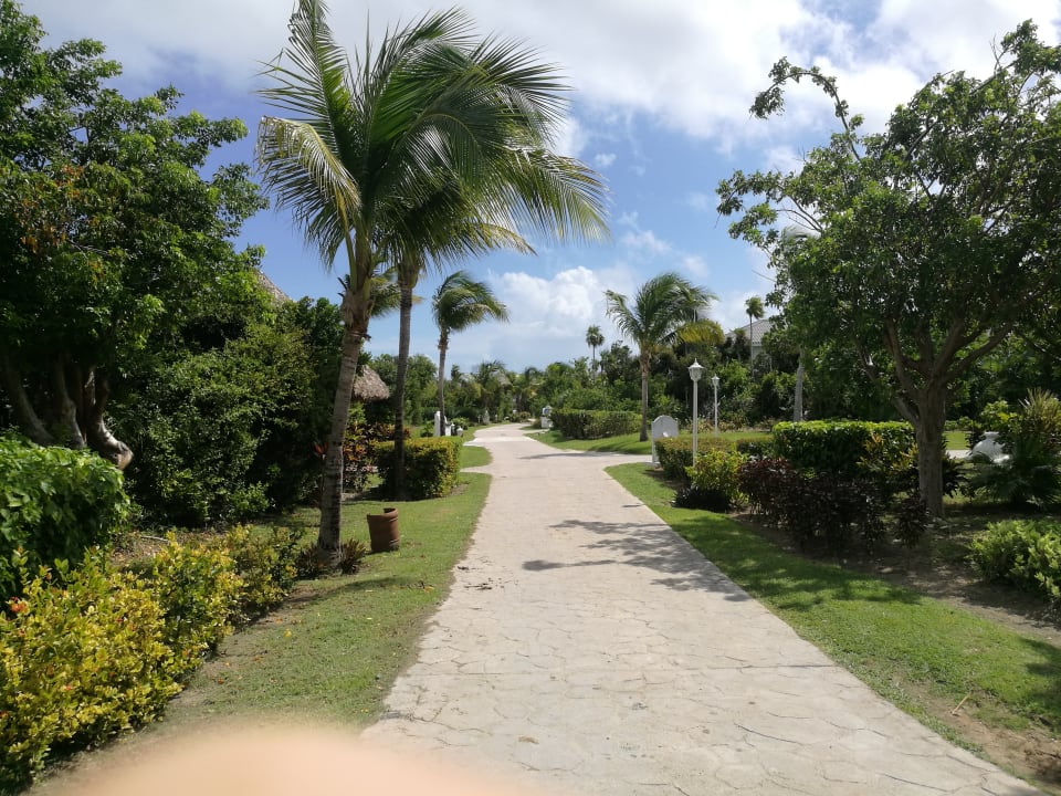 Gartenanlage Melia Las Dunas