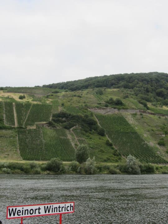 Ausblick aus dem Zimmer Pension-Weinhaus Flesch-Prüm