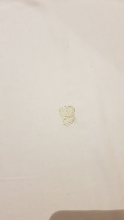 Zimmer Aska Lara Resort & Spa