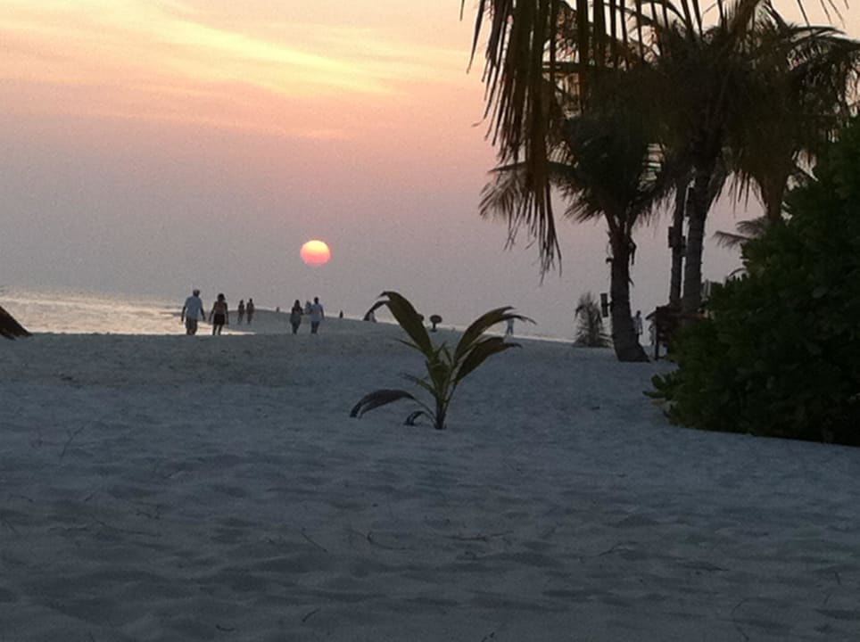 Sonnenuntergang  Kuredu Island Resort & Spa