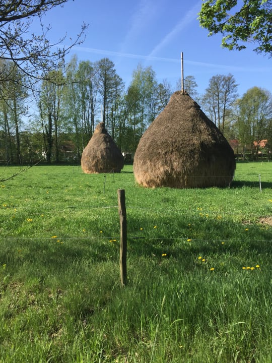 Ausblick Pension Bier