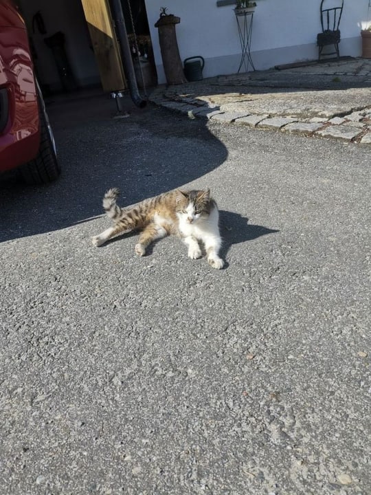 Sonstiges Ranzinger Hof