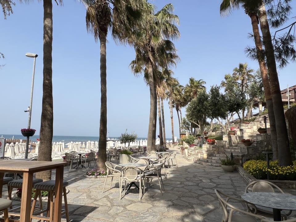 Gastro Arum Barut Collection