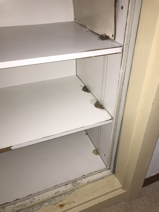 Zimmer BelleVue Club