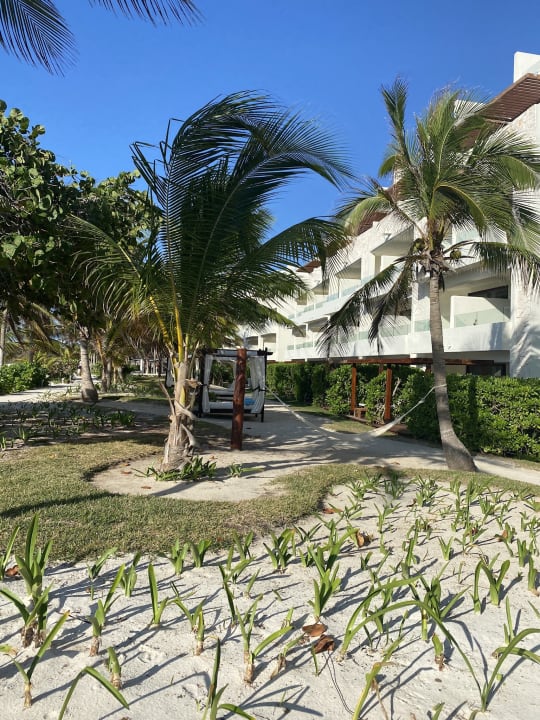 Garten Akumal Bay Beach & Wellness Resort